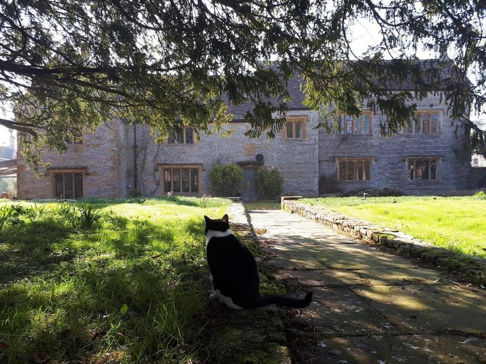 The Manor House, Curry Mallet Taunton Kültér fotó